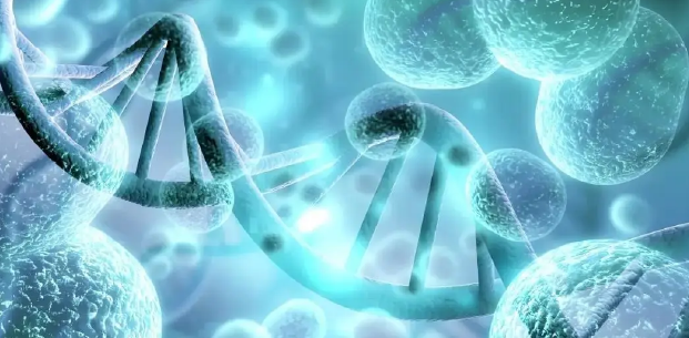 傳統(tǒng)技術(shù) vs 干細(xì)胞外泌體