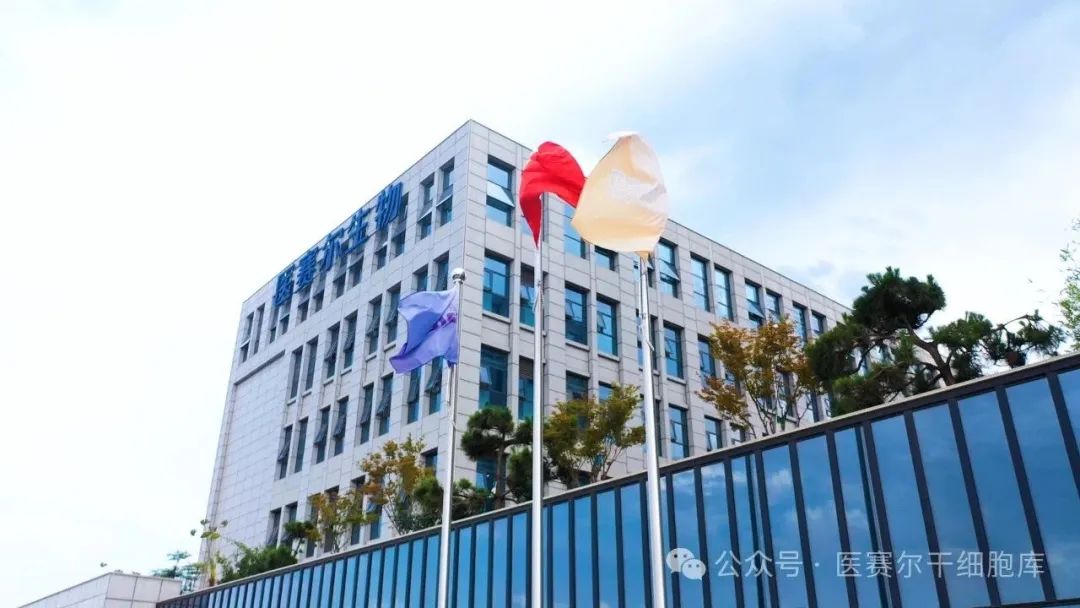 1754821707765415.jpg 1754821707765415.jpg