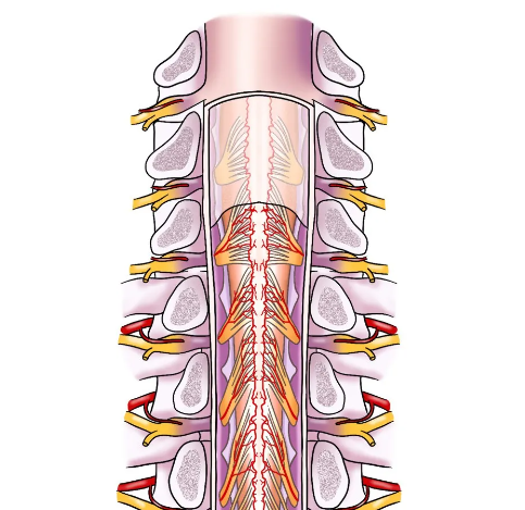 1761553975314937.png ScreenShot_2025-10-27_162940_662.png